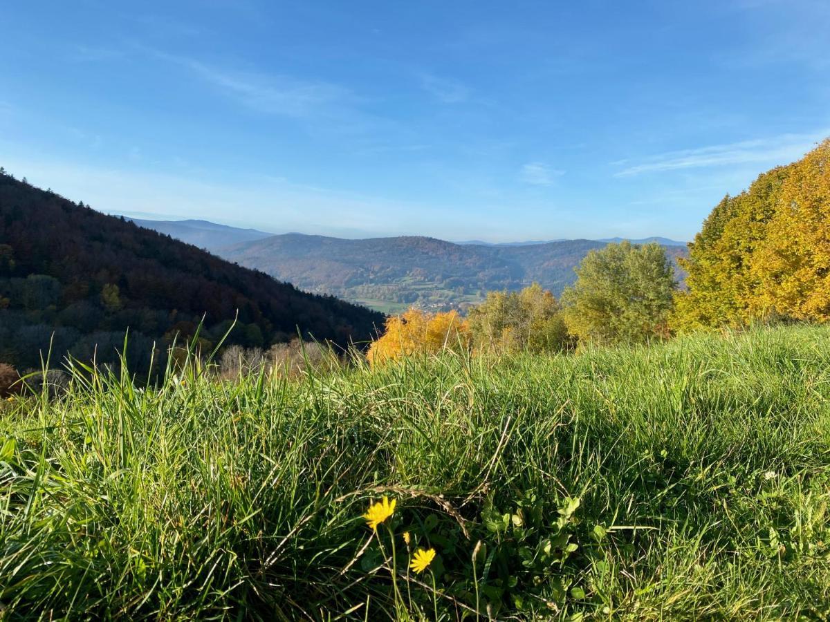 Ferienapartment 38 Sonnenwald Oberlangfurth Eksteriør bilde